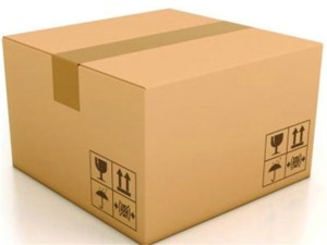 水果紙(zhǐ)箱包裝(zhuāng)